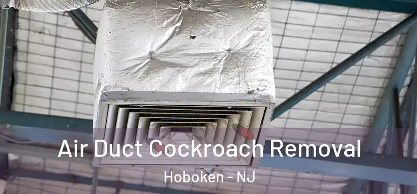 Air Duct Cockroach Removal Hoboken - NJ