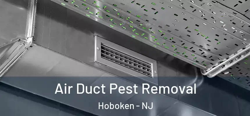 Air Duct Pest Removal Hoboken - NJ