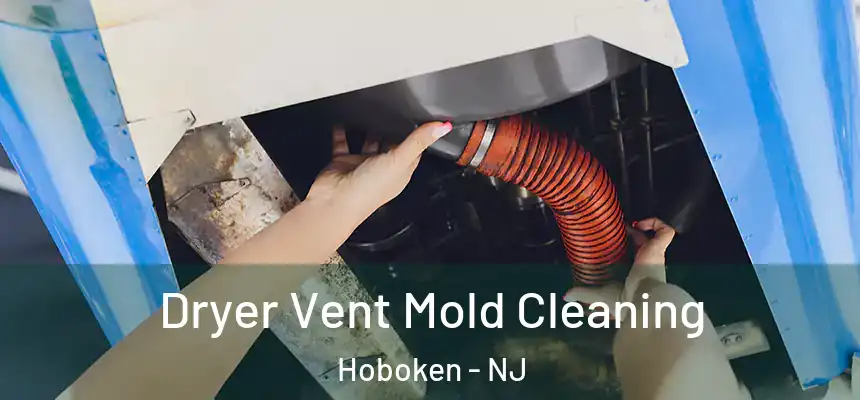 Dryer Vent Mold Cleaning Hoboken - NJ