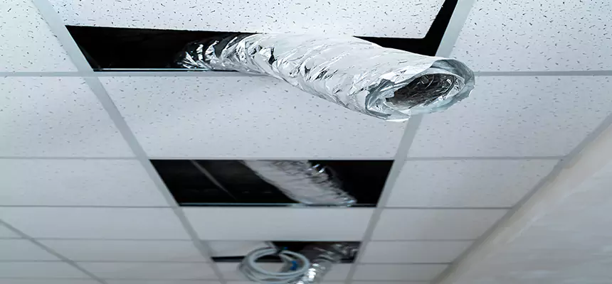 Our Air Duct Pet Hair Removal Services in Hoboken, NJ