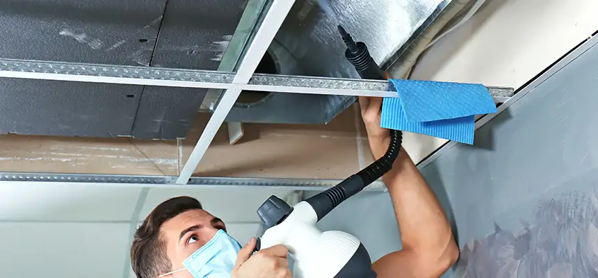 Our Air Duct Rodent Removal Services in Hoboken, NJ