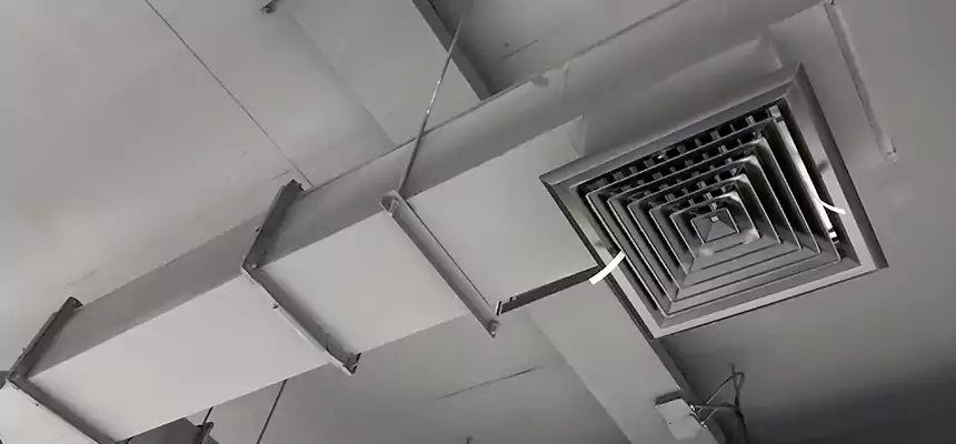 Our Rodent Droppings In Vents Services in Hoboken, NJ