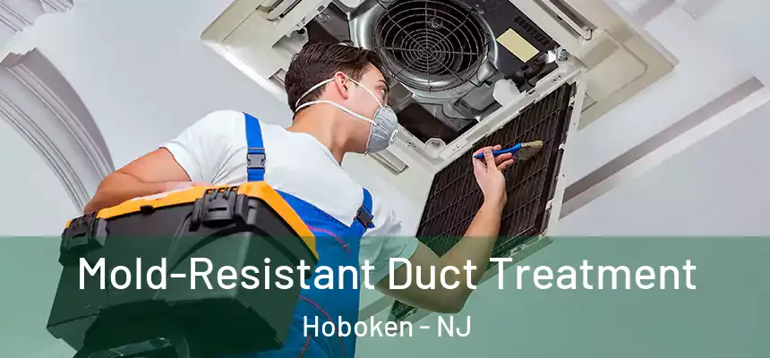 Mold-Resistant Duct Treatment Hoboken - NJ