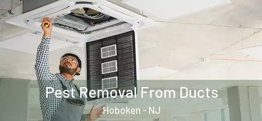 Pest Removal From Ducts Hoboken - NJ