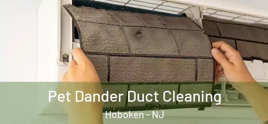 Pet Dander Duct Cleaning Hoboken - NJ