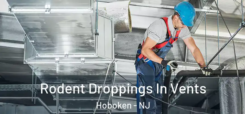  Rodent Droppings In Vents Hoboken - NJ