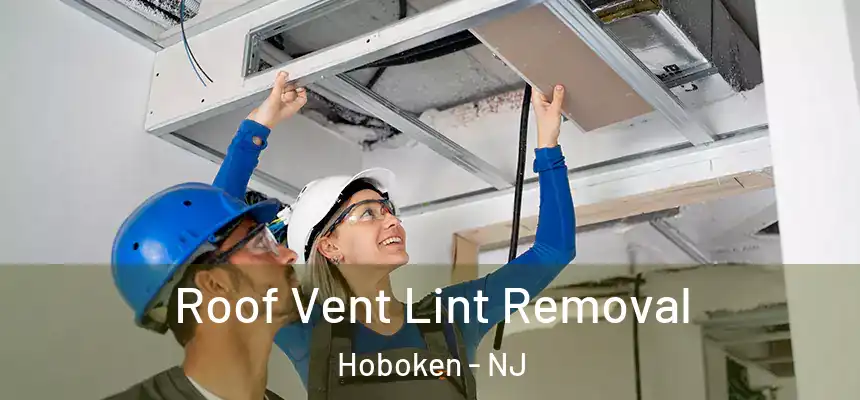 Roof Vent Lint Removal Hoboken - NJ