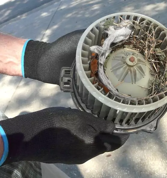 About Air Duct Mice Removal in Hoboken, NJ