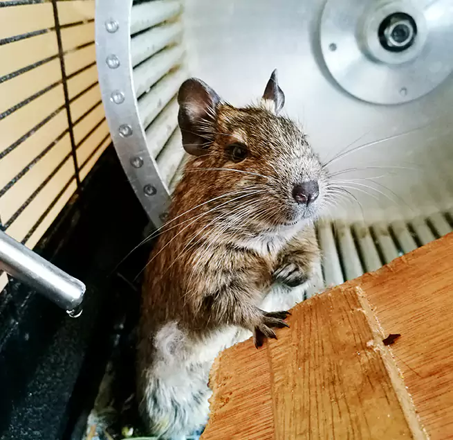 Why Homeowners & Businesses Trust Us Hoboken, NJ