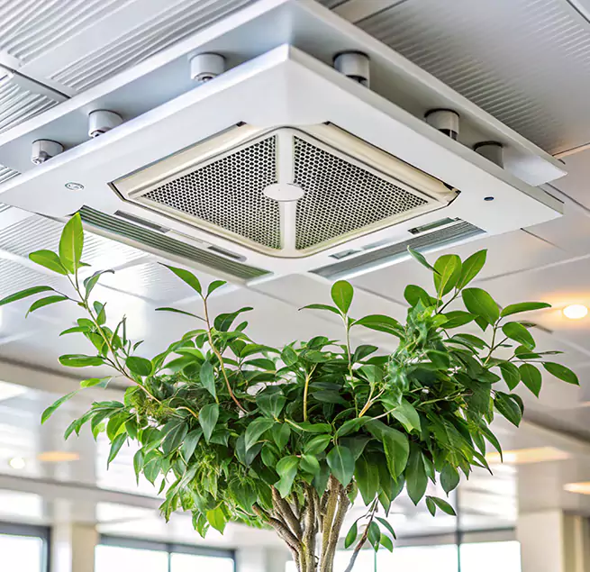 Why Homeowners & Businesses Trust Us in Hoboken, NJ?